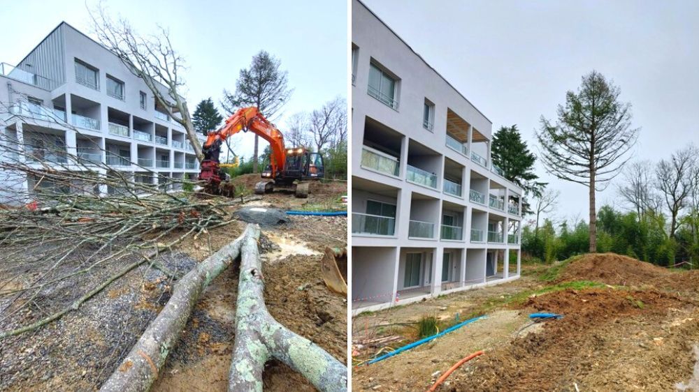 Nantes - Abattage sécuritaire suite à une tempête.jpg